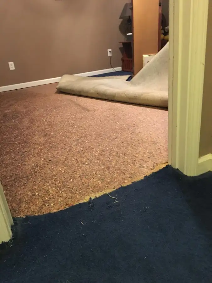 Carpet pad removal revealing water damage during Drying & Dehumidification in Aurora